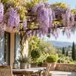 glycine